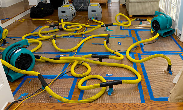 Professional Water Extraction technician working in Sibley, LA